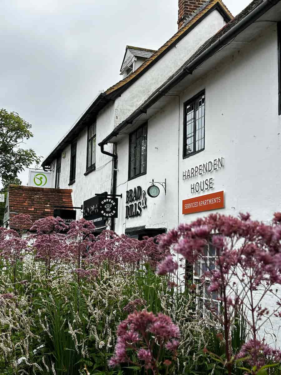 SwimFitz private home swimming lessons in Harpenden